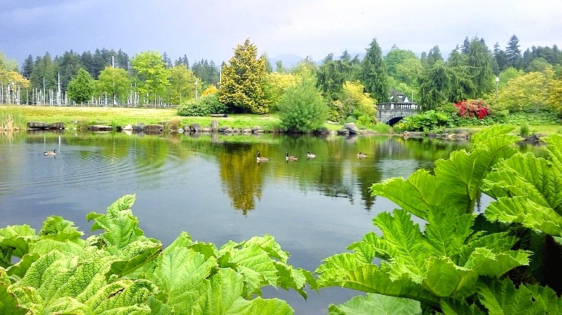 Devonian Harbour Park