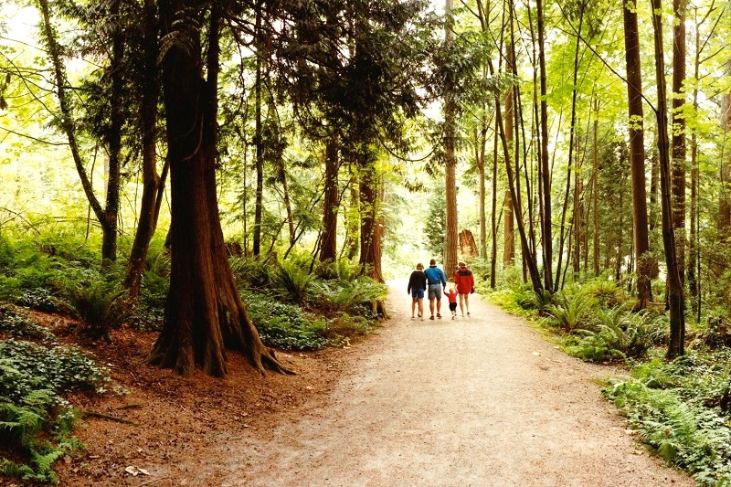 Walk around Stanley Park